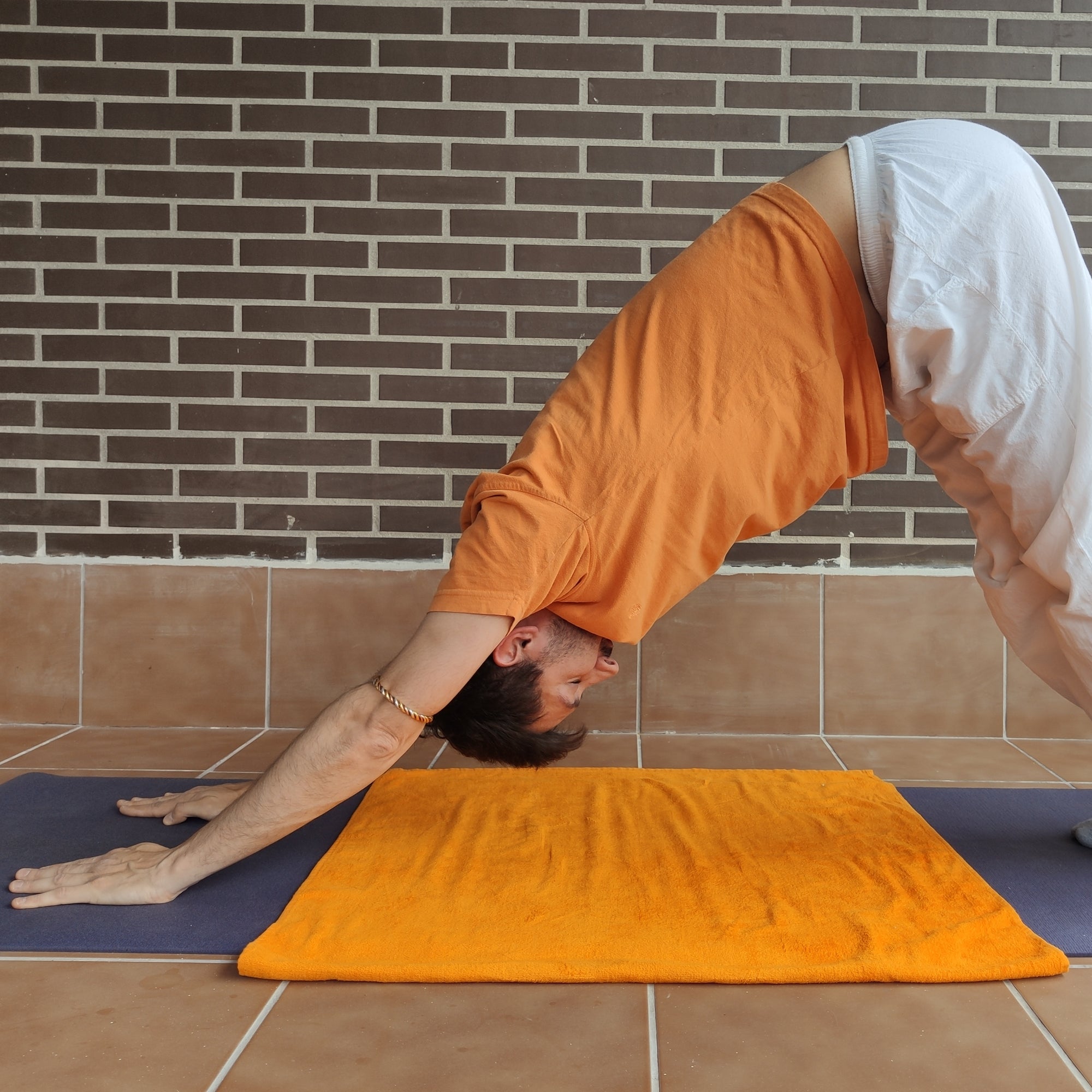 Flexibilidad y fortaleza con Adho Mukha Shvanasana o "el perro boca abajo"