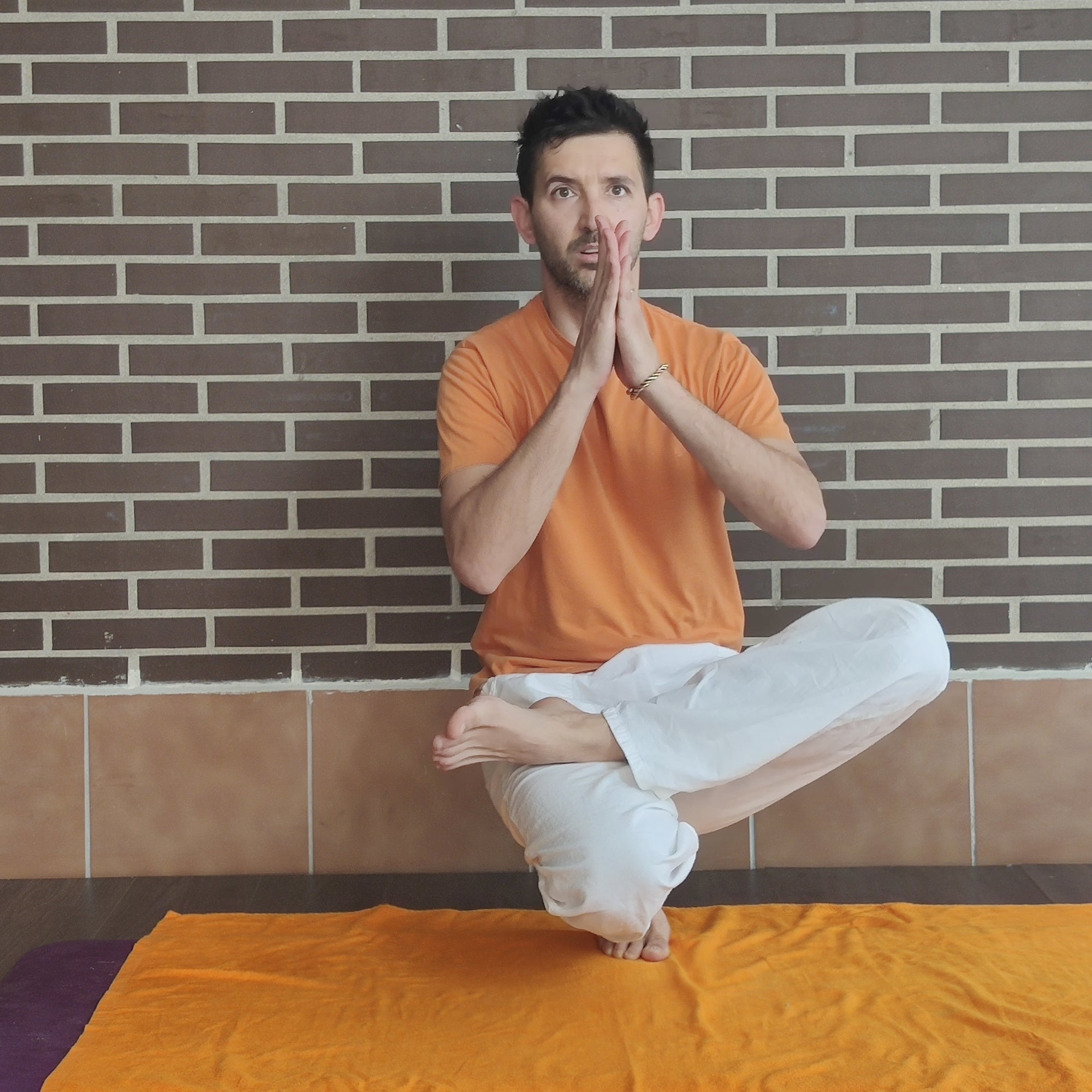 El equilibrio sobre la punta de los pies, padandgushtasana