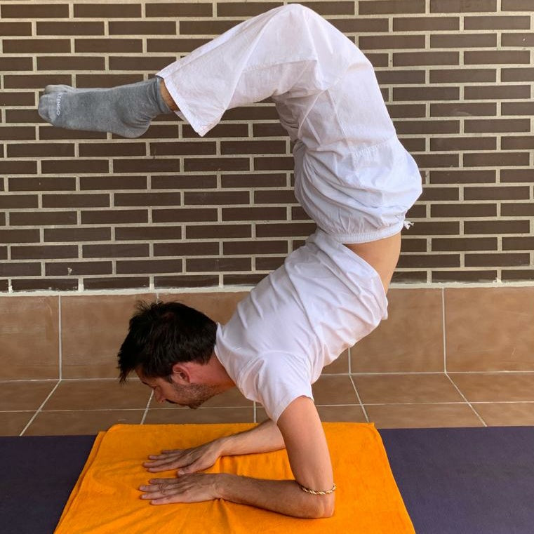 Nos lanzamos a hacer Vrischikasana o la postura del escorpión