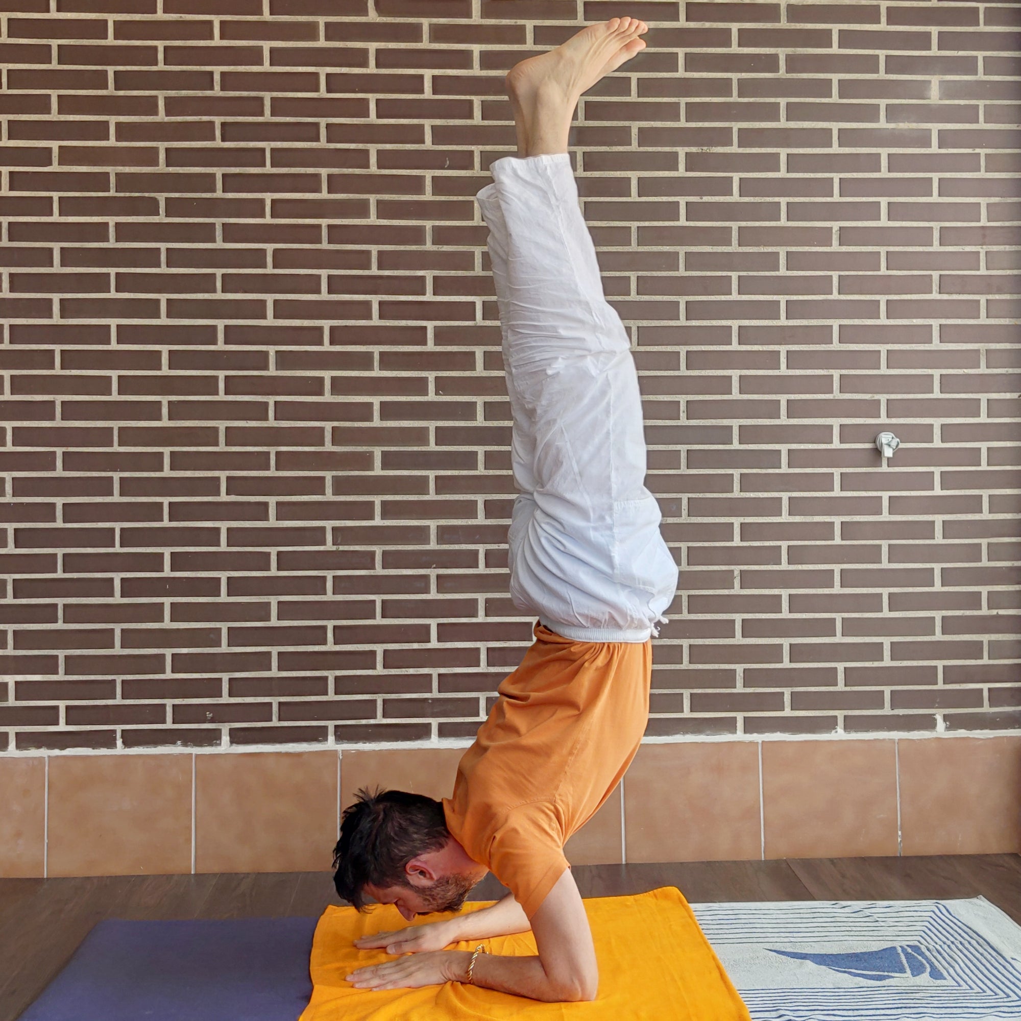 Un reto: aprendemos a hacer Pincha Mayurasana desde Shirshasana